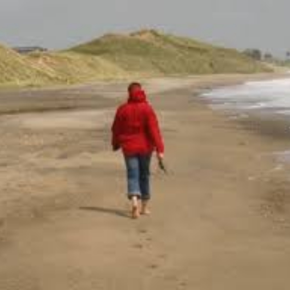 Meet your Posher, Priscilla